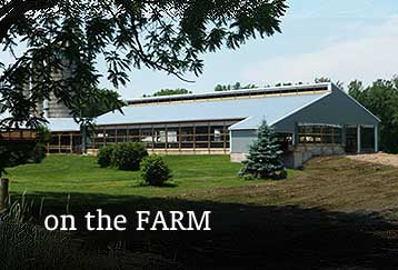 Agricultural Farm-Post Frame Metal Barn Building Design Contruction NY